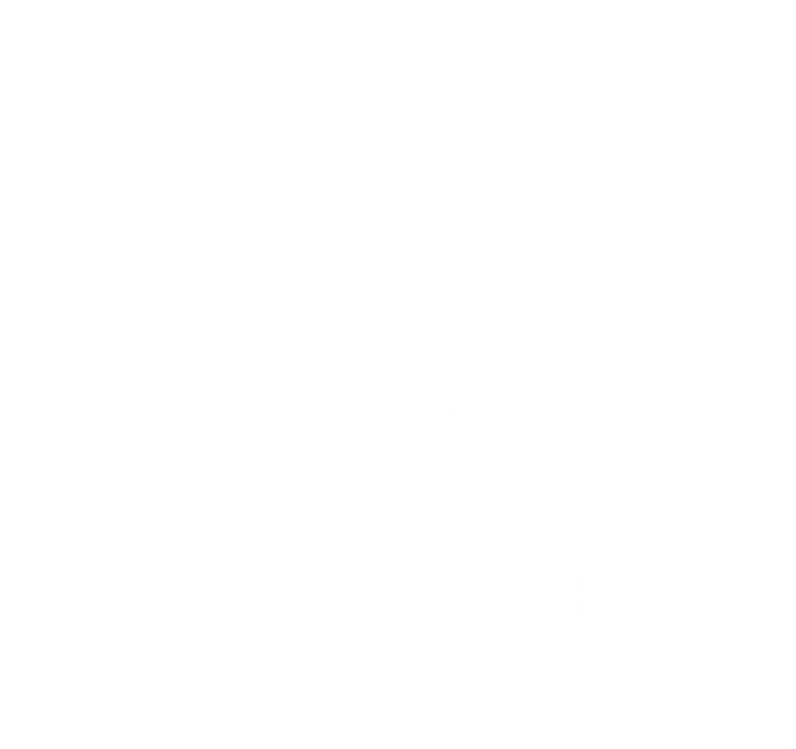 Stags India